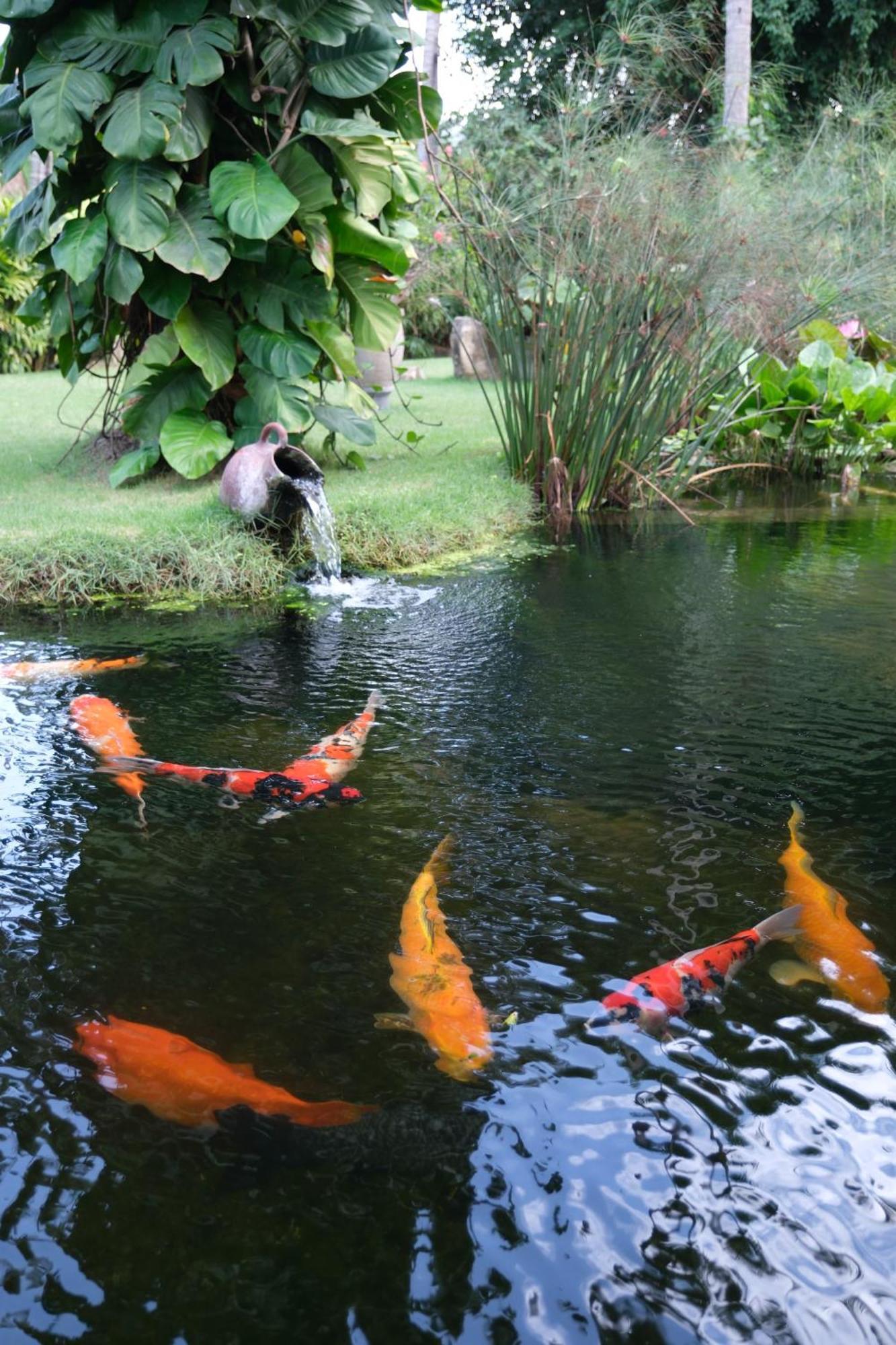 Jivana Resort 4*