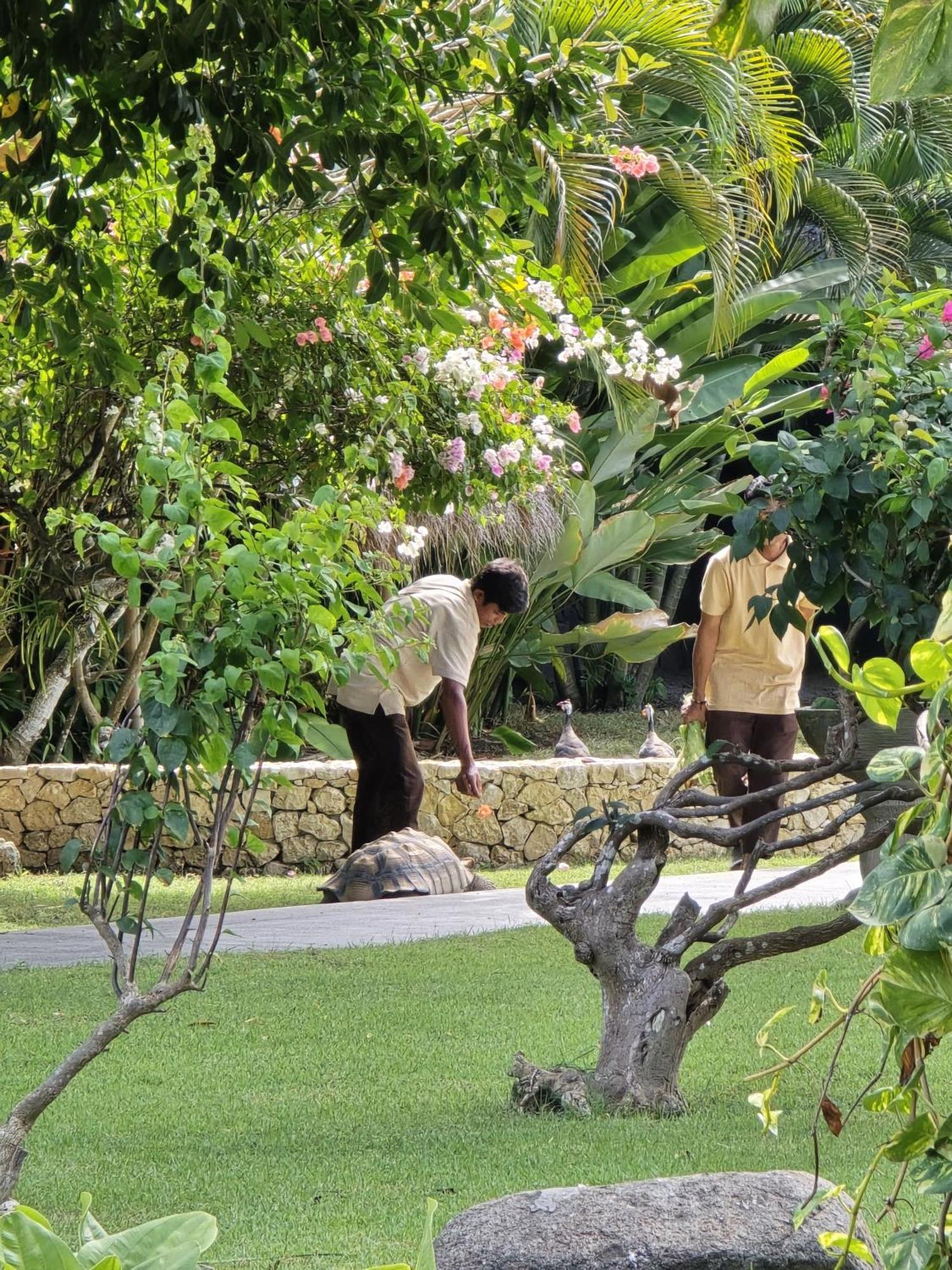 Jivana Resort Kuta (Lombok)