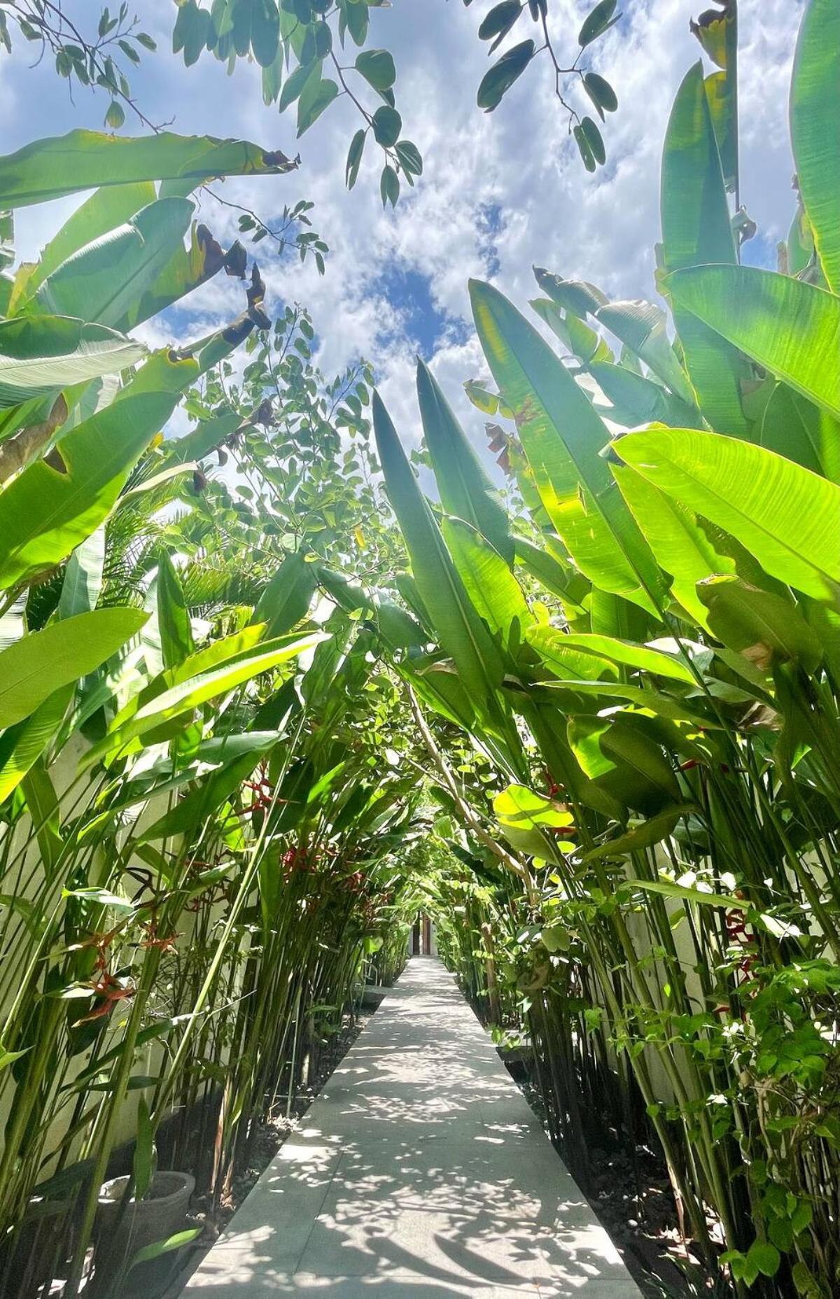 Jivana Resort Kuta (Lombok)